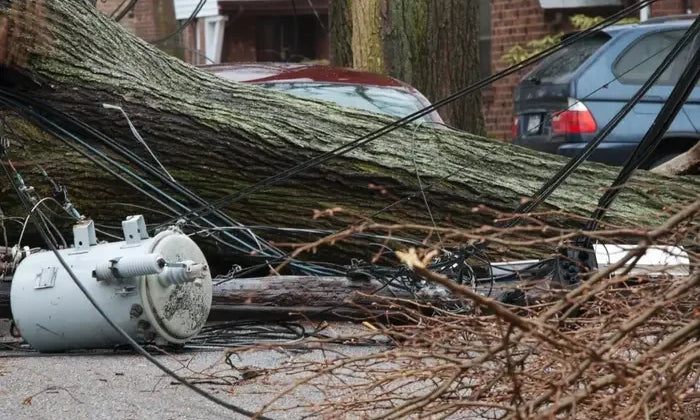 How an Emergency Toilet Can Make a 💩 Day Better