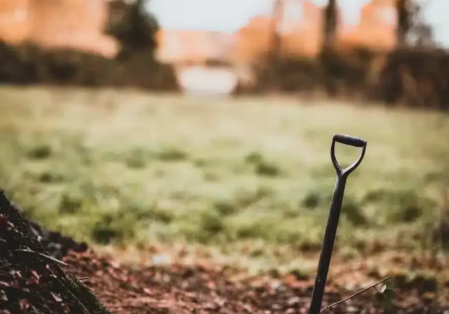 What is a Composting Toilet? Everything you Need to Know