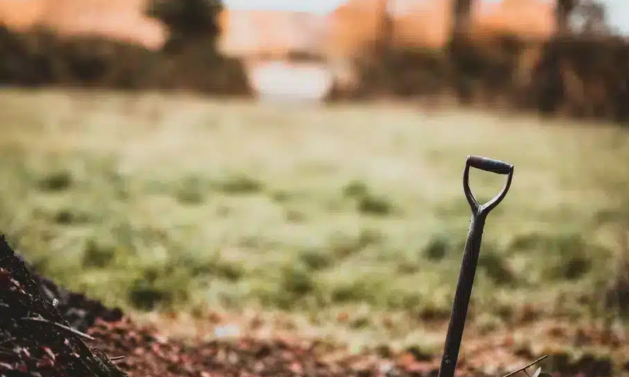 What is a Composting Toilet? Everything you Need to Know